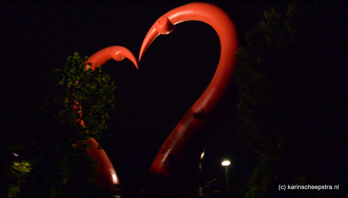flamingo's torrejon de ardoz parque zarzuela -foto: karin scheepstra-